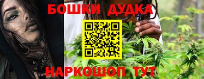 гидра Шелехов