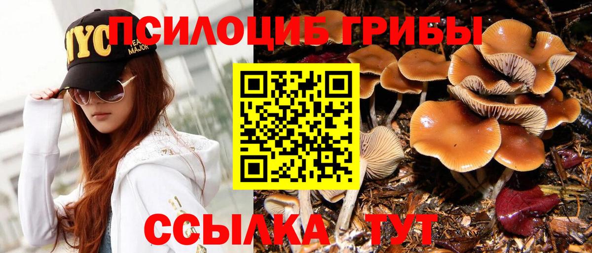 Кимры  Псилоцибиновые грибы Psilocybe  Вход с VPN 