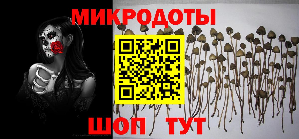 Псилоцибиновые грибы мицелий Кимры